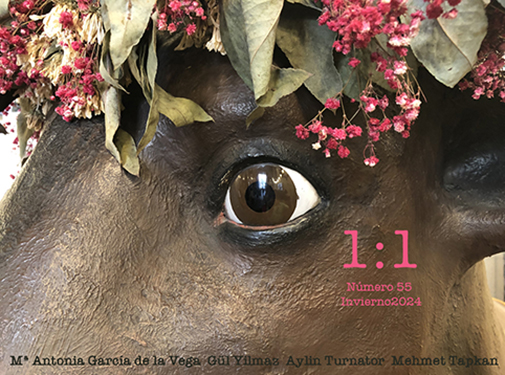 Portada revista nº 55