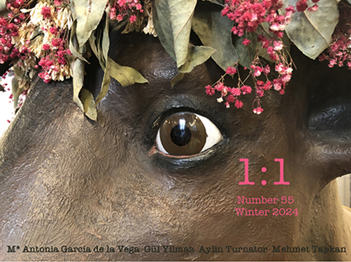 Portada revista nº 55